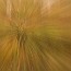 thumbs/IMG_8735.jpg